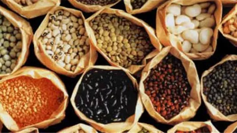شعبة الحبوب: 80 % نقصًا في كميات اللوبيا بالأسواق