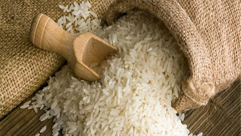 «شعبة الأرز»: توريد 50 ألف طن أرز لهيئة السلع التموينية