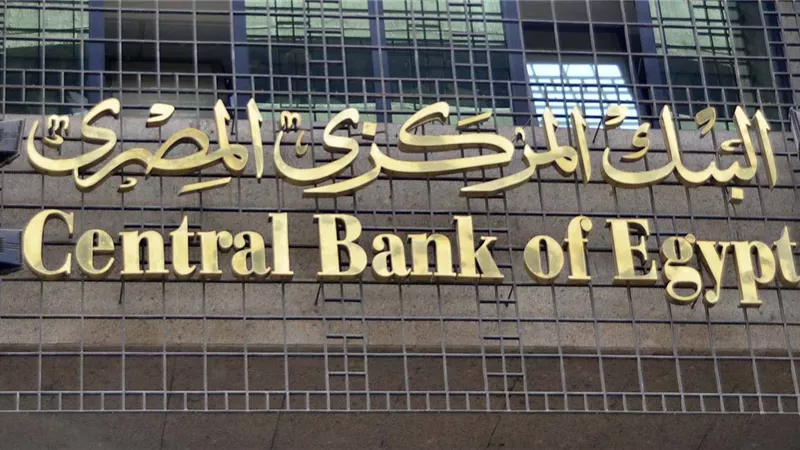 «المركزي» يلزم بسداد الواردات التي تزيد عن 2000 دولار عن طريق البنوك