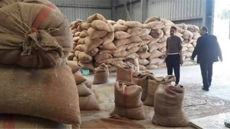 محافظ الغربية: توريد 172 ألف طن قمح بالشون والصوامع