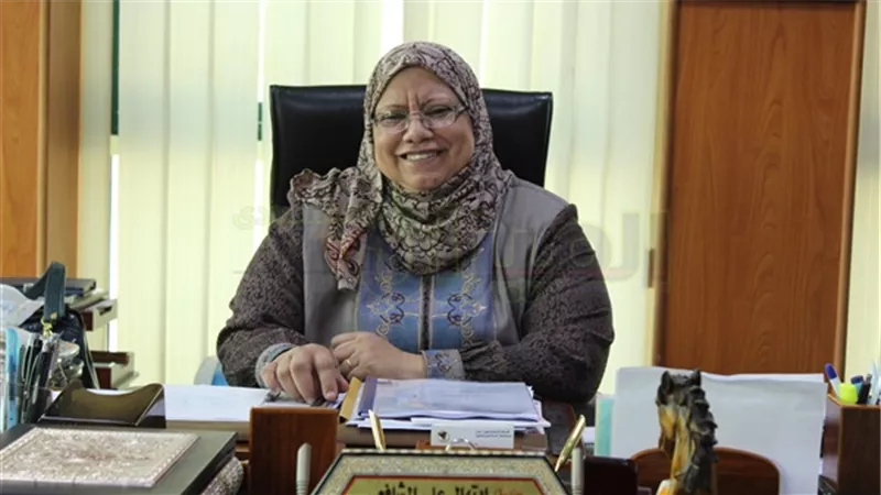 شمال الدلتا للتوزيع: 13065 محضر سرقة تيار كهربي في أبريل