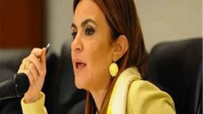 وزيرة الاستثمار: وضعنا خطة لزيادة عدد المناطق الحرة في المحافظات