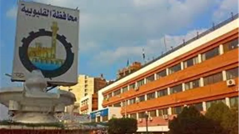 629 فرصة عمل جديدة للشباب بالقطاع الخاص بالقليوبية