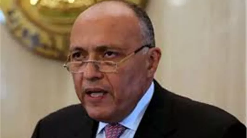وزير الخارجية لنظيره الفرنسى: «مصر صريحة مع باريس.. ولا تكذب عليها»