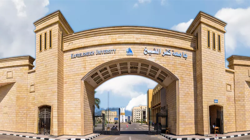 الحكومة توافق على إنشاء معهد لتطوير الدواء بجامعة كفرالشيخ 