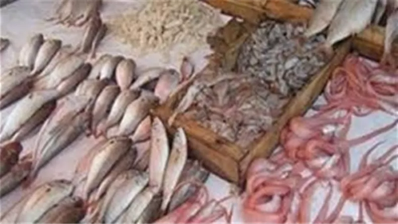 أسعار الأسماك اليوم الأحد.. والسبيط بـ 70 جنيهًا