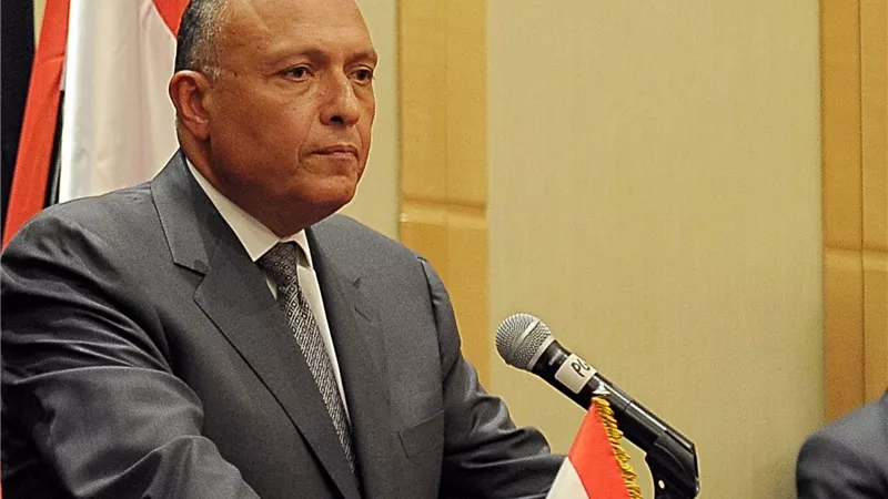 وزير الخارجية أمام (النواب): تعيين الحدود البحرية مع السعودية تم بعد 11 جولة تفاوضية