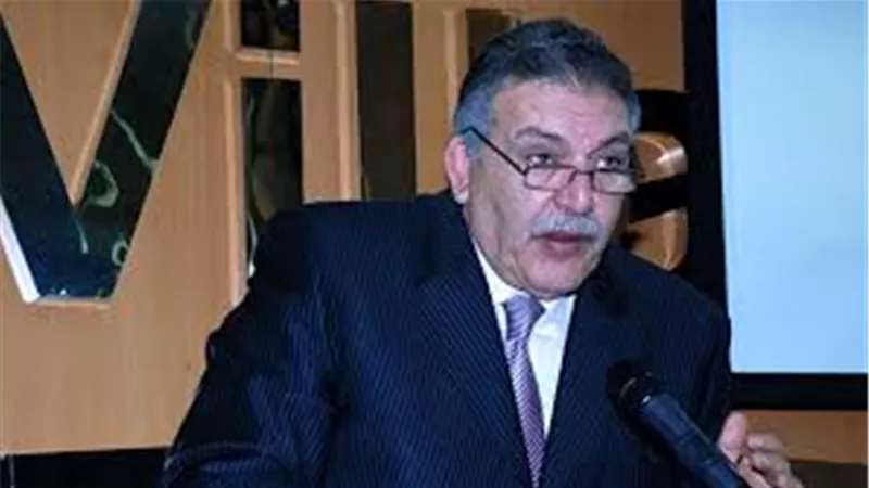 أحمد الوكيل: مصر تحفز الشراكة بين القطاع الخاص والحكومة