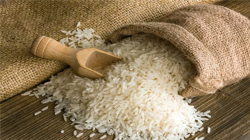 شعبة الأرز: المنتج متوافر بالسوق المحلى بكميات كبيرة