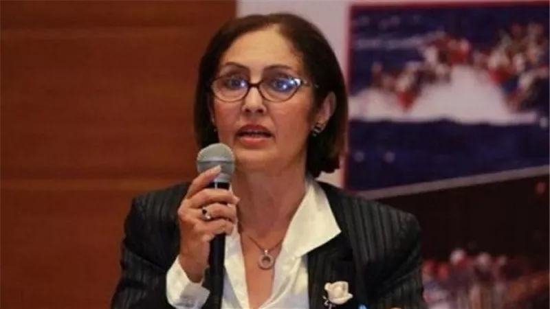 «نائلة جبر»: المشروعات الصغيرة تحمي الشباب من الهجرة غير الشرعية