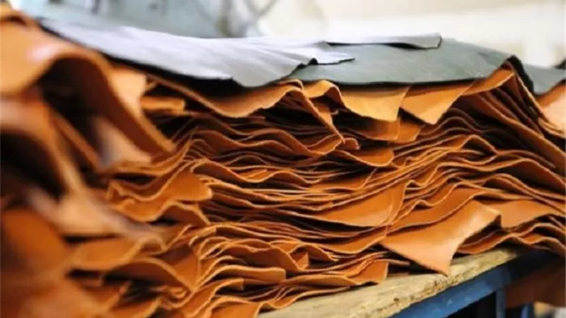 150 جنيها..انخفاضا بأسعار الجلد الجاموسي..والبقري بـ500 جنيه