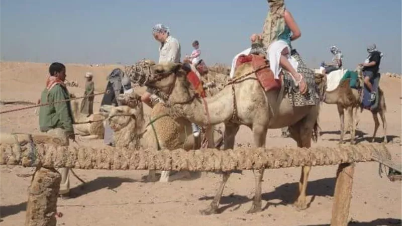 الدميري: 5 بنود تؤكد نجاح الحملة الترويجية في الخارج