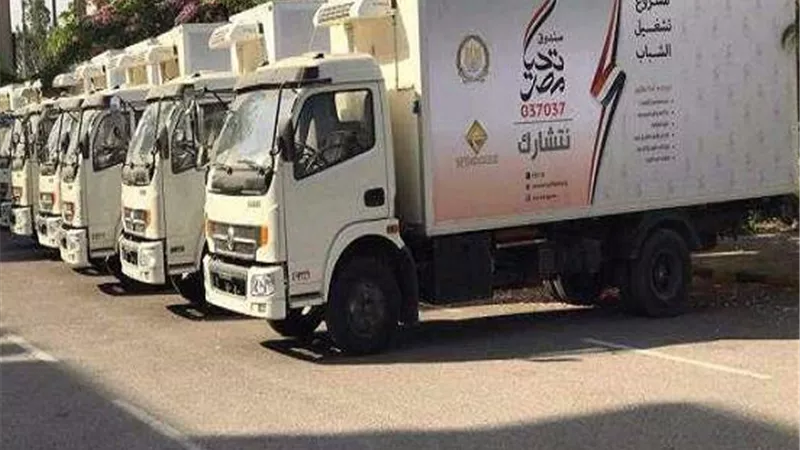 تحيا مصر: شراء 200 عربة مبردة للشباب بالتعاون مع وزارتي الصناعة والتموين