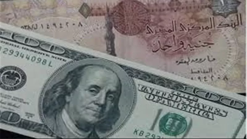 سعر الدولار بالبنوك اليوم السبت.. و«HSBC» الأعلى 
