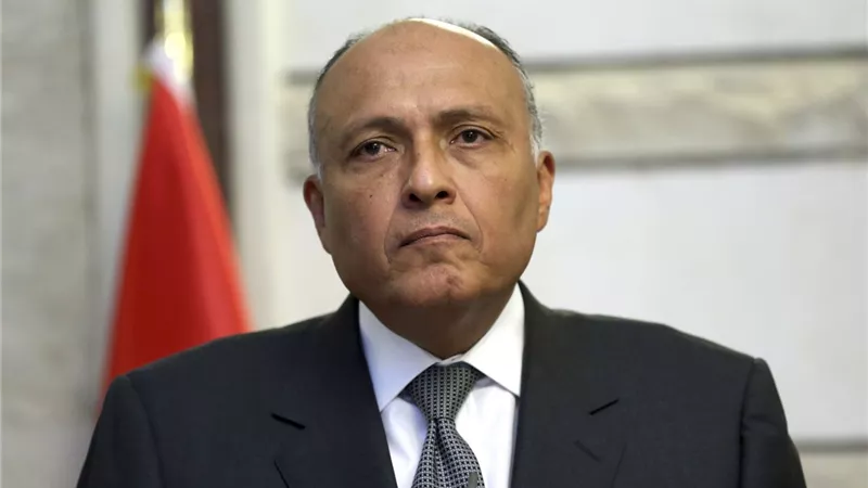 شكري يعرب لنظيره اليوناني هاتفيا عن تقديره لعلاقات البلدين