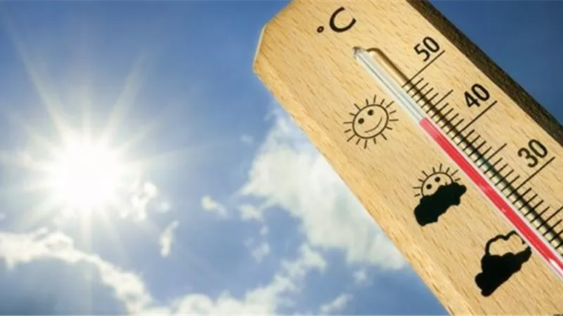 الأرصاد: غدا طقس معتدل على السواحل الشمالية مائل للحرارة على الوجه البحري والقاهرة