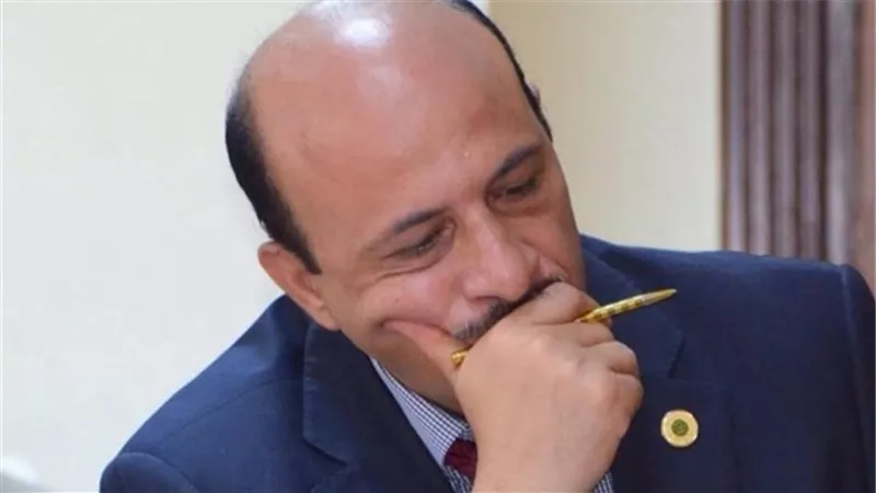عز الدين: 18 جنيها أعلي سعر لصرف الدولار حتى نهاية 2017