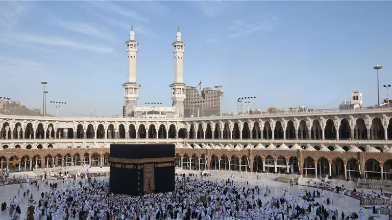 «العليا للحج» تطالب الدولة بإسناد الحج بالكامل لـ«السياحة» 