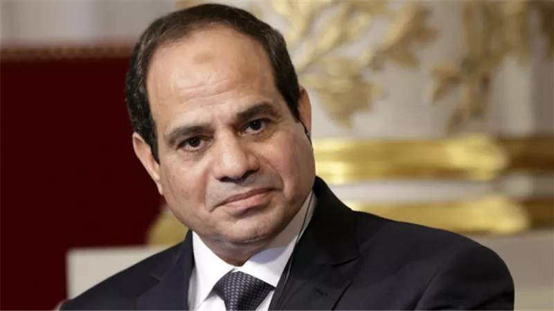 «السيسي» يعود إلى القاهرة بعد مشاركته فى قمة «حوض النيل»