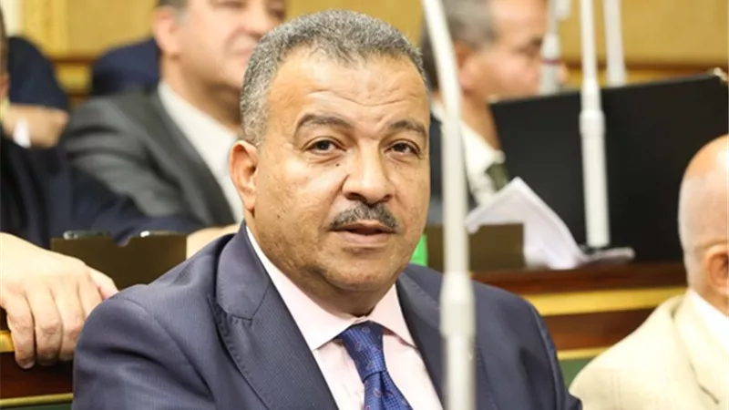 «العماري»: امتداد مظلة الرعاية الصحية للمواطنين في قانون التأمين الصحي الجديد