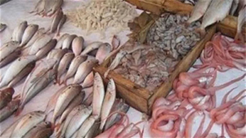 السبيط يسجل 70 جنيهًا في أسواق الجملة 