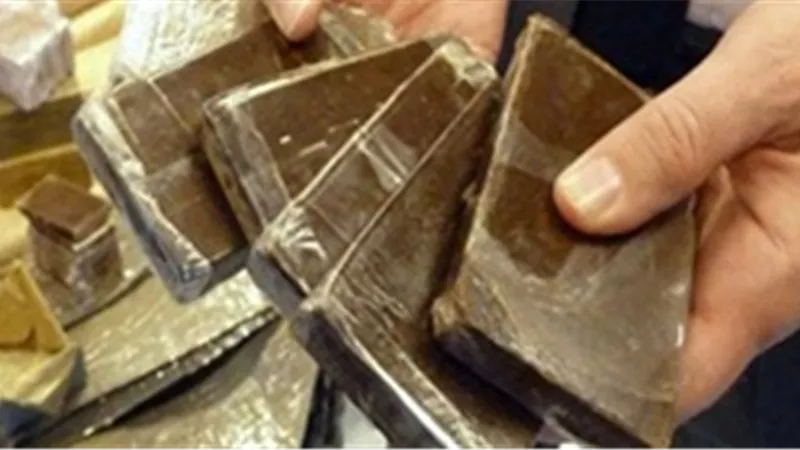 أمن الأقصر يضبط حشيش وأفيون بحوزة عامل بالبر الغربي