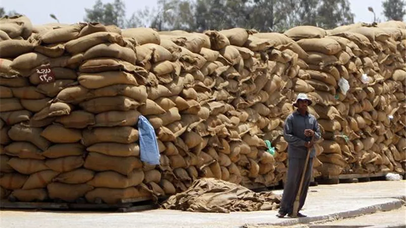 237% نموًا في أرباح مطاحن مصر الوسطى بنهاية مايو