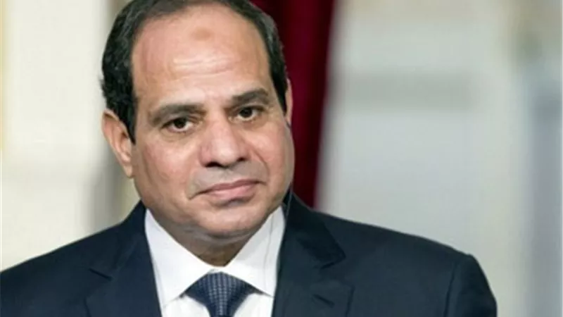 قرار جمهوري باستثناء شركة ألمانية من نسبة مشاركة المصريين في رأسمالها