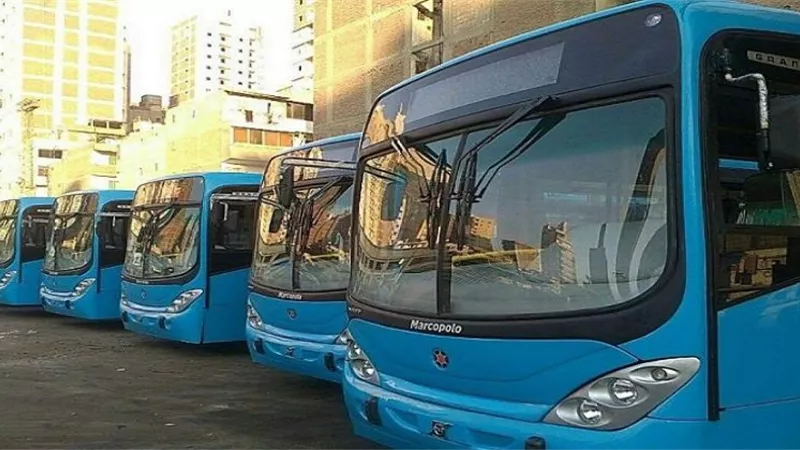 «النقل العام» تنفي زيادة أسعار تذكرة الأتوبيسات