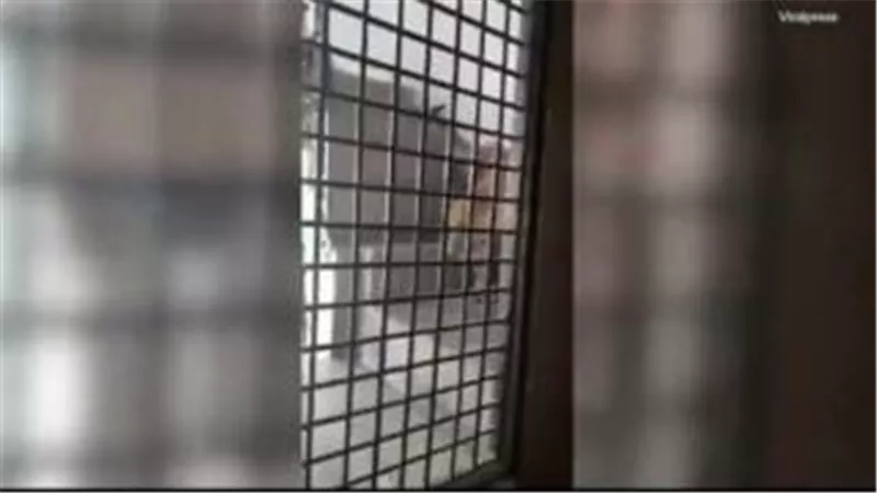 بالفيديو.. نمر وحشي يهاجم عائلة داخل منزلها