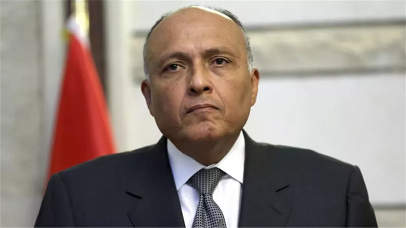 «سامح شكري» يشارك في اجتماع منظمة التعاون الإسلامي بأبيدجان