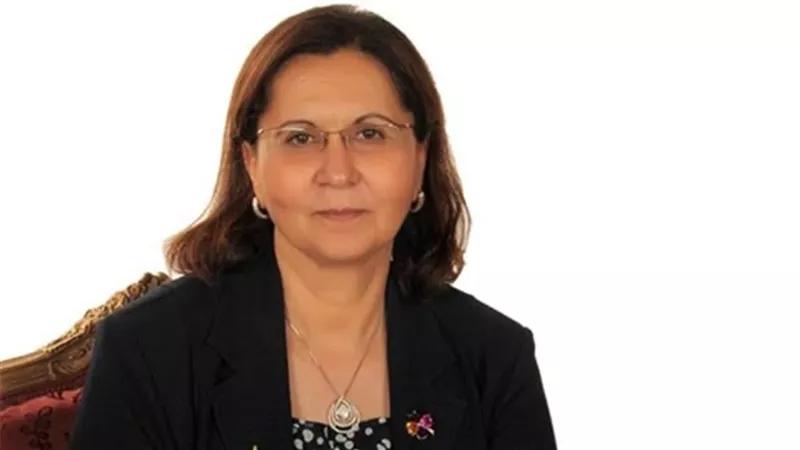 «عالية المهدي»: الإصلاح الاقتصادي لم يحقق إلا رفع الدعم