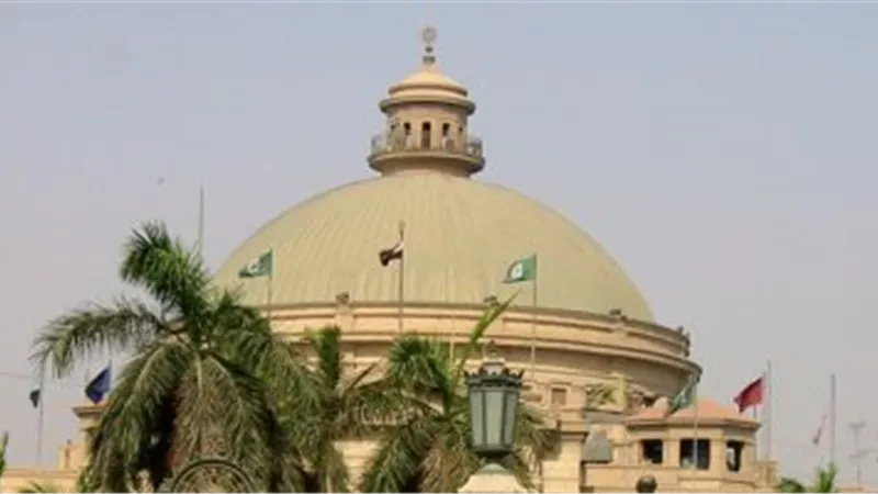برنامج بـ«جامعة القاهرة» لتدريب الإداريين لمناهضة التحرش والعنف