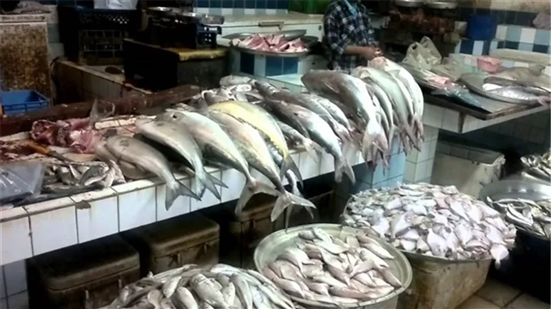 أسعار الأسماك اليوم.. والسبيط بـ90 جنيها