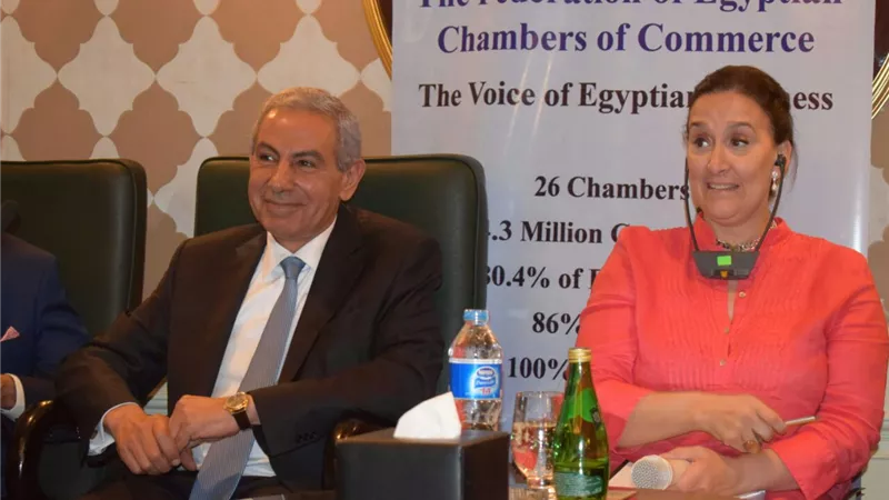 قابيل: إنشاء مجلس أعمال مصرى أرجنتينى مشترك