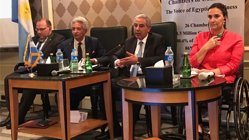 نائب الرئيس الأرجنتيني: اخترنا مصر لتكون شريكا استراتيجيا لنا 