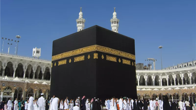 معاينة وتوثيق عقود 36 ألف حاج بالأراضي السعودية