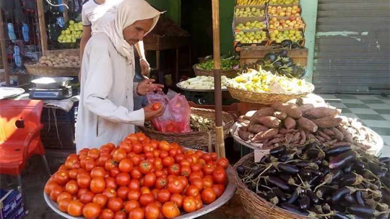 كيلو البطاطس بـ3.5 جنيه.. والكوسة بـ6.5