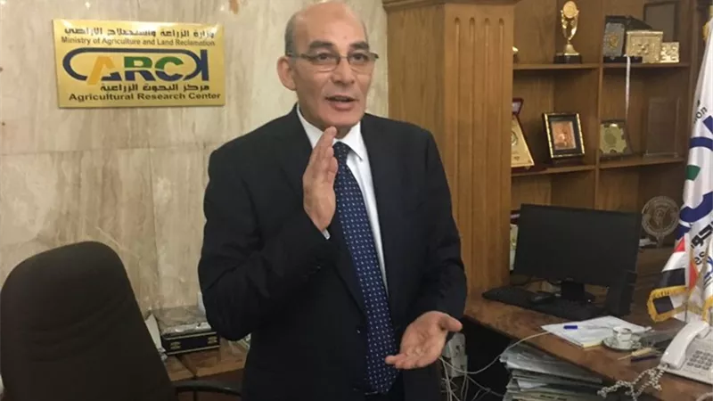 «وزارة الزراعة» و«الوادي الجديد» تنظمان مهرجان النخلة الكريمة أكتوبر المقبل