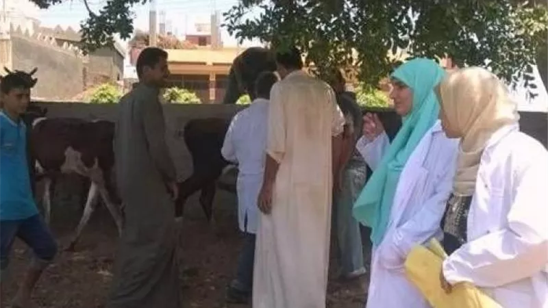 حملة لتحصين الماشية بالوادي الجديد