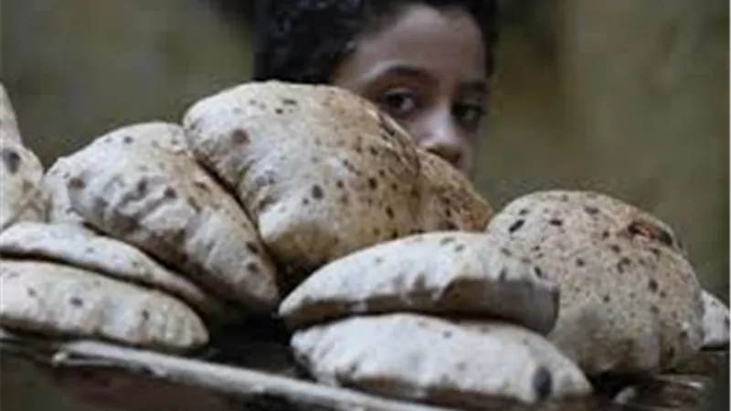 بالفيديو رئيس شعبة المخابز: لهذه الأسباب توجد مسامير في رغيف الخبز