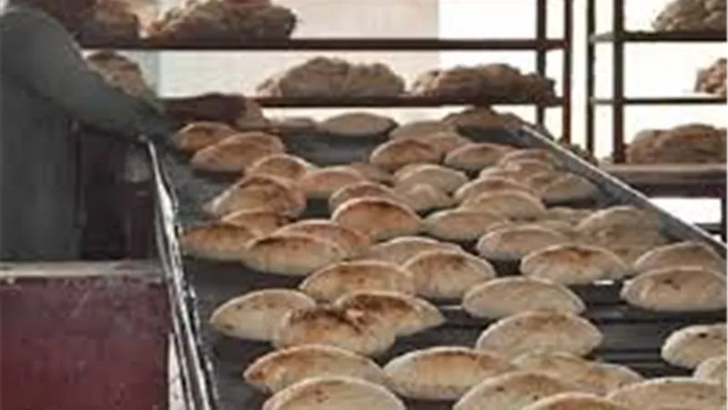 «المخابز»: رغيف العيش يباع بـ5 قروش فقط.. ويكلف الدولة 52 قرشا 