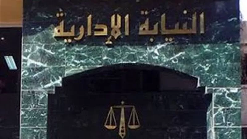استعدادات مبكرة.. اختيار الشهاوي وأبوضيف بـ«الهيئة الوطنية للانتخابات»