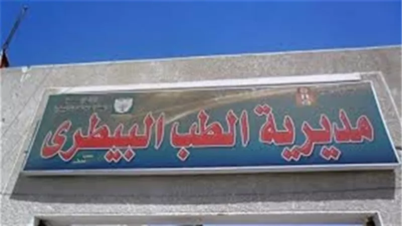 بيطرى المنيا: مد أعمال الحملة القومية لتحصين الماشية ضد الحمى القلاعية والوادي المتصدع