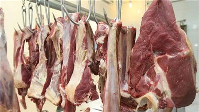 «القصابين» توفير لحوم بأسعار مخفضة خلال عيد الأضحى
