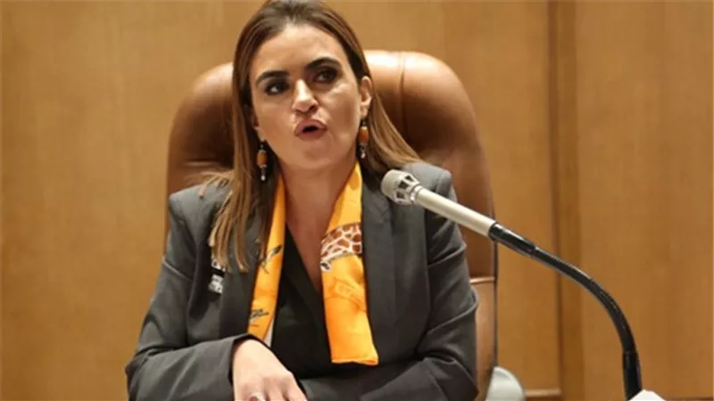  «الاستثمار»: 2.4 مليار جنيه استثمارات محلية جديدة خلال شهر يوليو