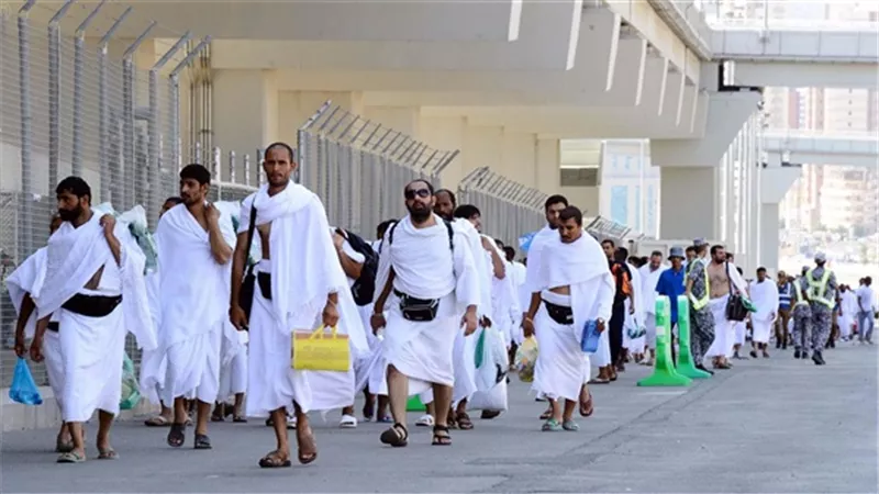 خبير سياحي: تضامن الشركات في الحج سيؤدي لـ«كارثة»
