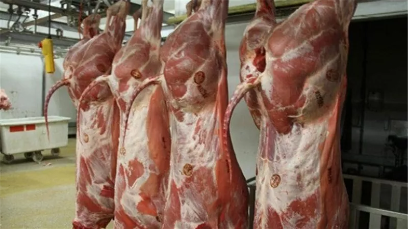 محافظ أسيوط: طرح لحوم عيد الأضحى بأسعار مخفضة