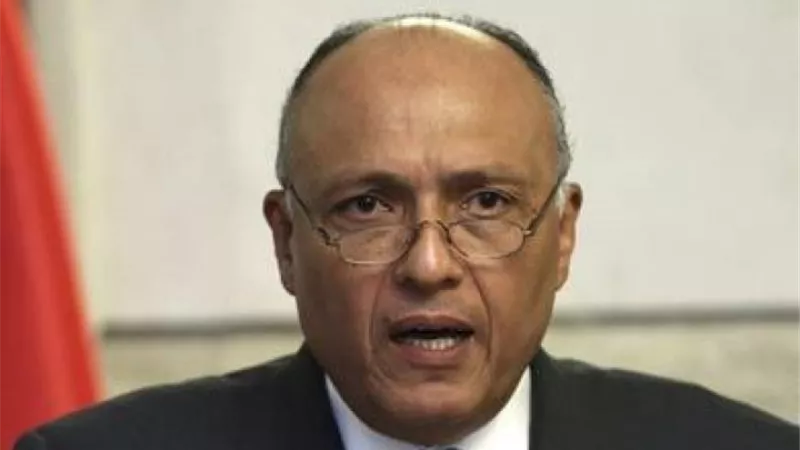 سامح شكري: نتطلع إلى قرار روسي لاستئناف رحلات الطيران للمقاصد المصرية