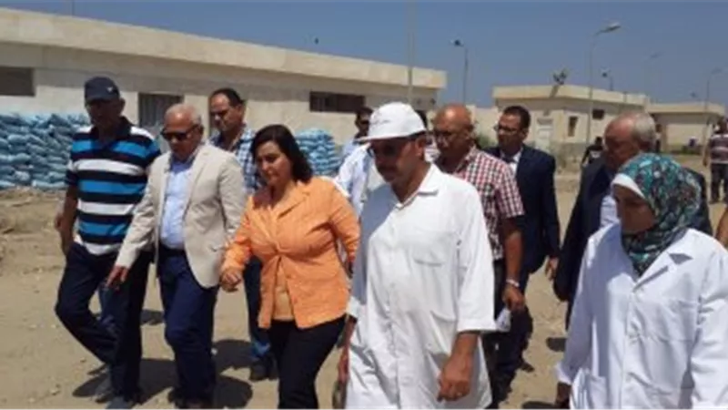 افتتاح عنبر جديد بمجزر«القابوطى» بتكلفة 5 ملايين جنيه